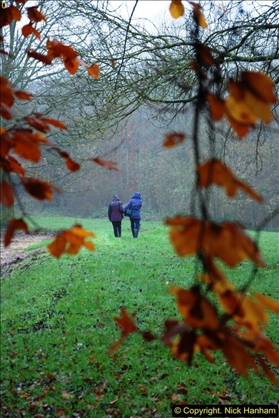 2014-11-21 The Woodland in Winter. Wendover Woods, Buckinhhamshire.  (37)037