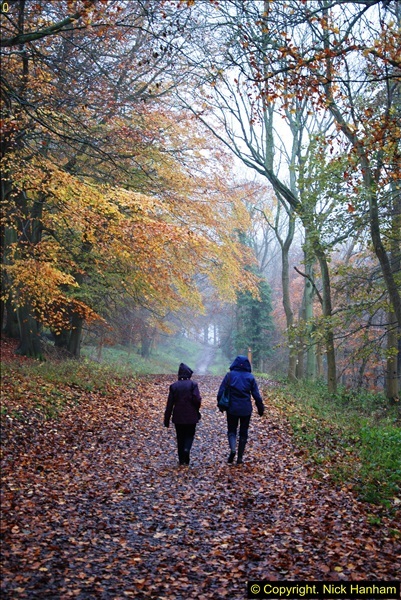 2014-11-21 The Woodland in Winter. Wendover Woods, Buckinhhamshire.  (54)054