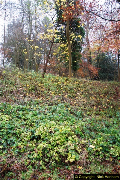 2014-11-21 The Woodland in Winter. Wendover Woods, Buckinhhamshire.  (67)067