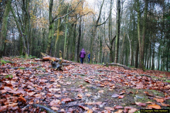 2014-11-21 The Woodland in Winter. Wendover Woods, Buckinhhamshire.  (165)165