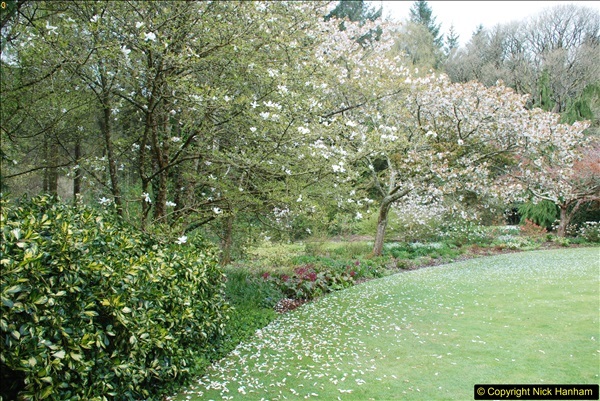 2018-04-22 RHS Rosemoor Gardens, Great Torrington, Devon.   (32)032