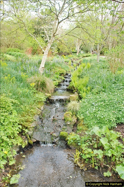 2018-04-22 RHS Rosemoor Gardens, Great Torrington, Devon.   (48)048