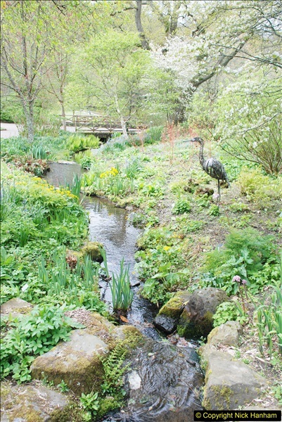 2018-04-22 RHS Rosemoor Gardens, Great Torrington, Devon.   (50)050